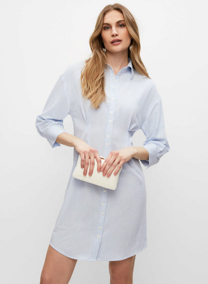Women Pin Stripe Shirt Dress White Pattern | Melanie Lyne